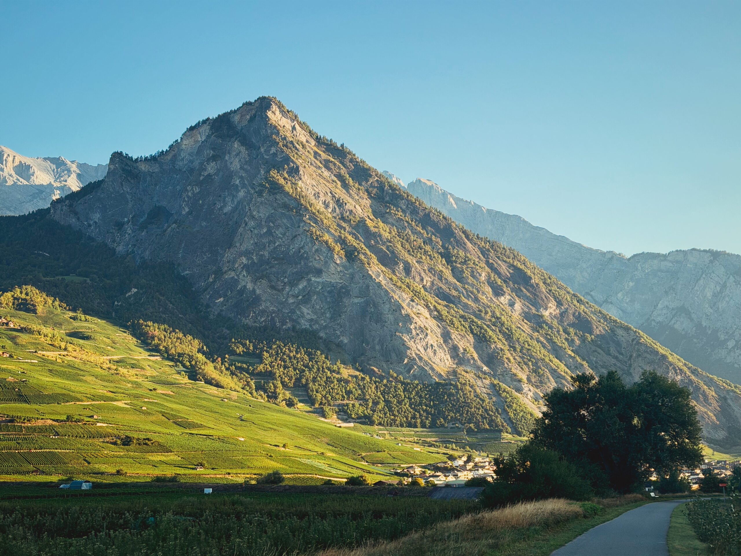 Une montagne massive et majestueuse occupe le centre de l'image. Sa pente est couverte de vignobles et de forêts, contrastant avec un premier plan de champs cultivés et un ciel bleu dégagé.